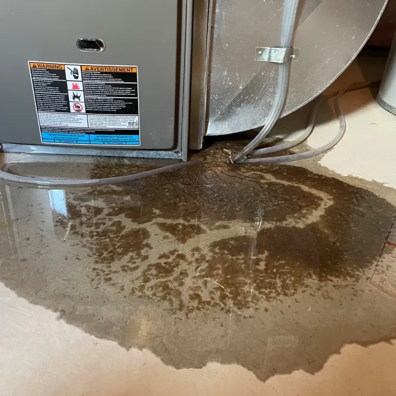 Appliance Leak Cleanup in Cherokee County, IA